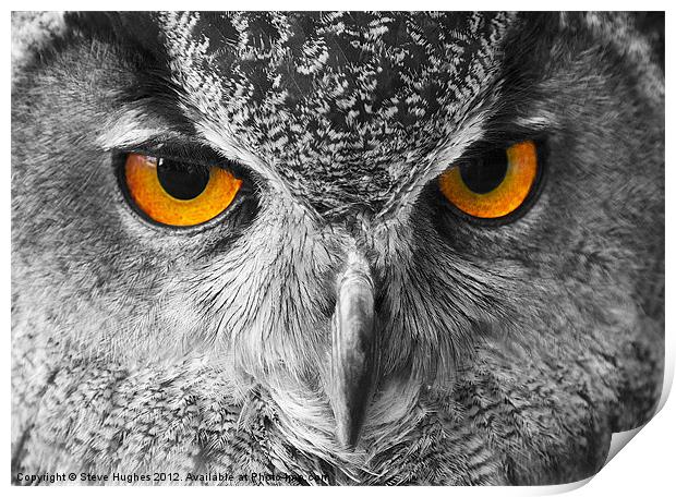European Eagle Owl Bright eyes Print by Steve Hughes