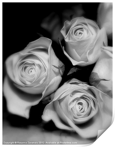 Black & white Rose Bunches. Print by Rosanna Zavanaiu