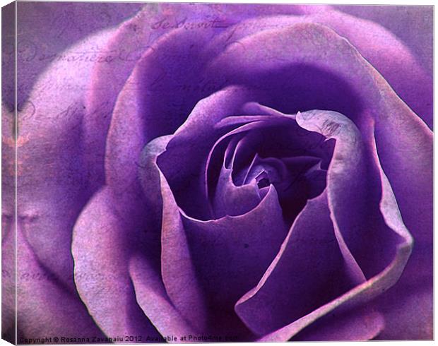 Purple BlueTextures Rose. Canvas Print by Rosanna Zavanaiu
