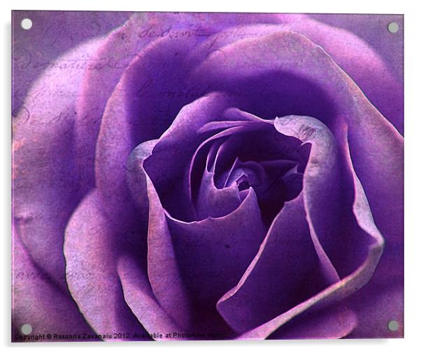 Purple BlueTextures Rose. Acrylic by Rosanna Zavanaiu