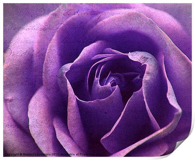 Purple BlueTextures Rose. Print by Rosanna Zavanaiu