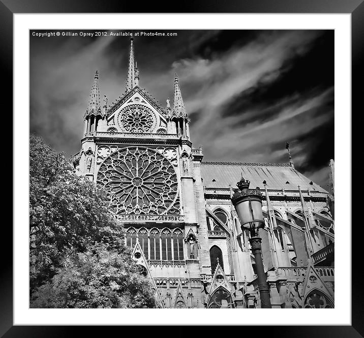 Notre Dame de Paris Framed Mounted Print by Gillian Oprey