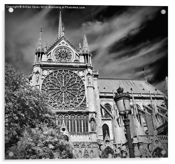 Notre Dame de Paris Acrylic by Gillian Oprey