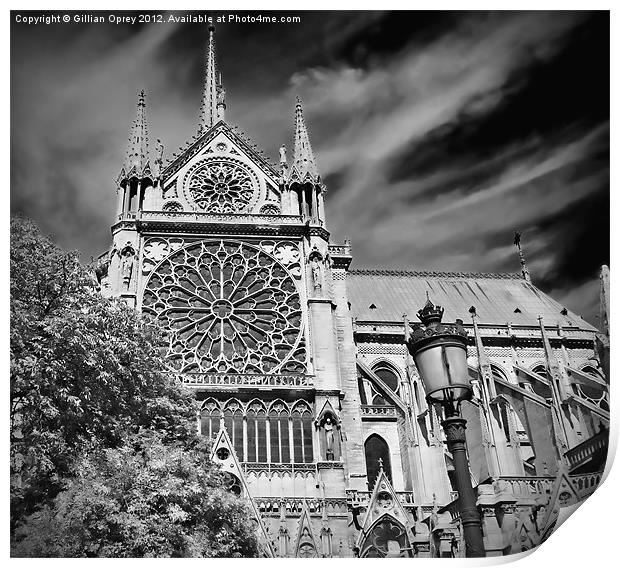 Notre Dame de Paris Print by Gillian Oprey