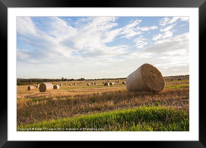Hay Bales Framed Mounted Print by Dawn O'Connor