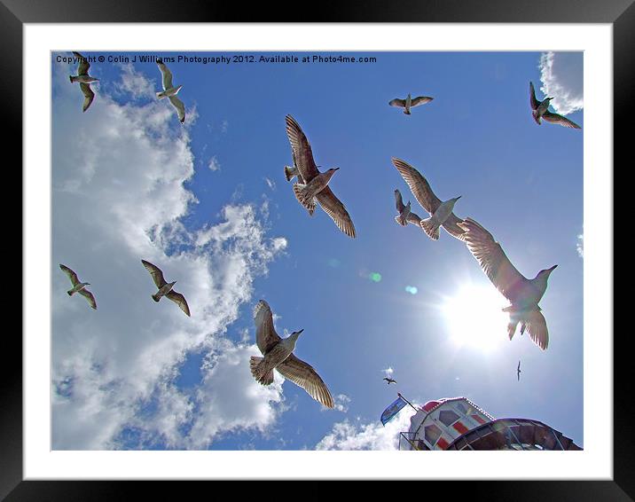 Brighton Seagulls Framed Mounted Print by Colin Williams Photography