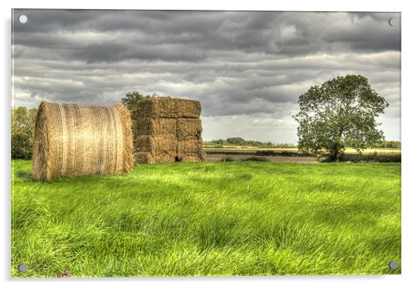 Stormy Summer Mornings Acrylic by Oliver Porter