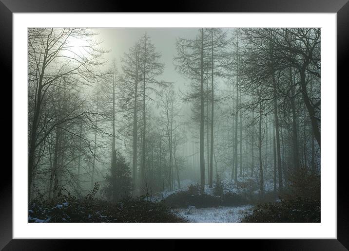 The Woods In Winter Framed Mounted Print by Jamie Green