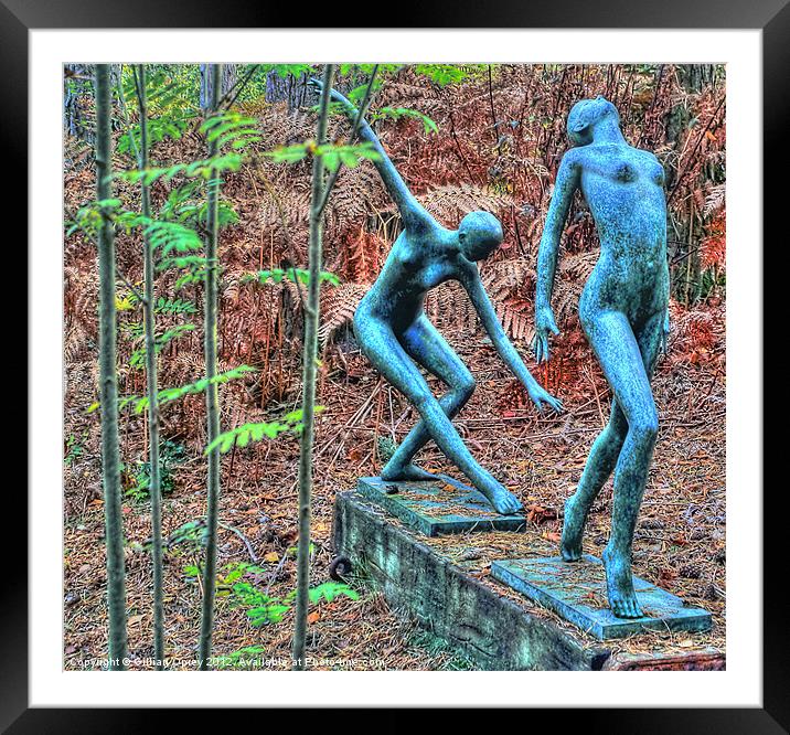 Ballet in the Woods Framed Mounted Print by Gillian Oprey