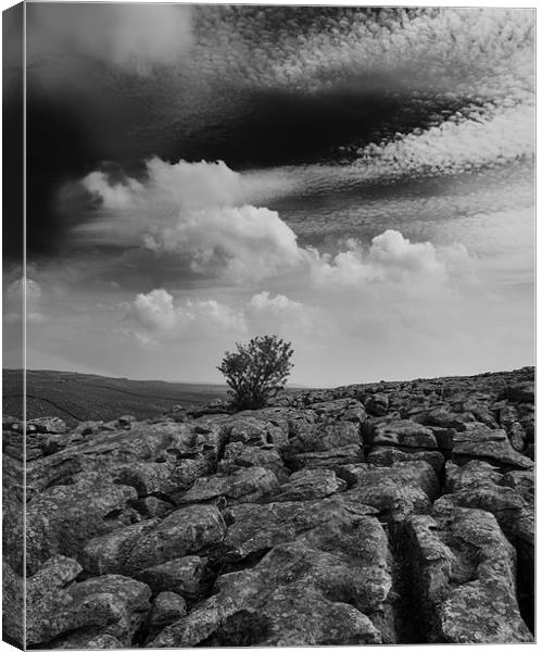 Limestone pavement above Gordale Scar Canvas Print by Graham Moore