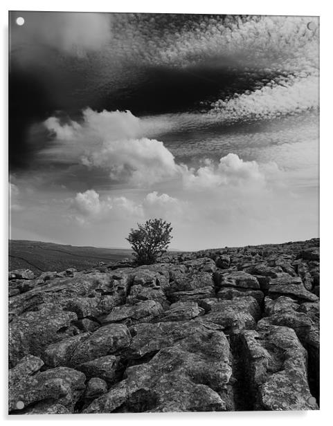 Limestone pavement above Gordale Scar Acrylic by Graham Moore