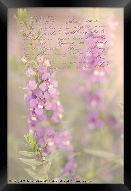 Angelina Serona Flowers Framed Print by Betty LaRue