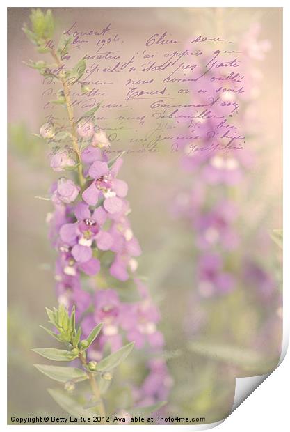 Angelina Serona Flowers Print by Betty LaRue