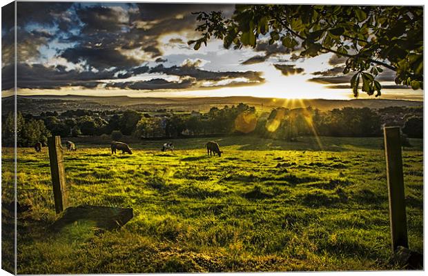 Sunset and Pasture Canvas Print by richard downes