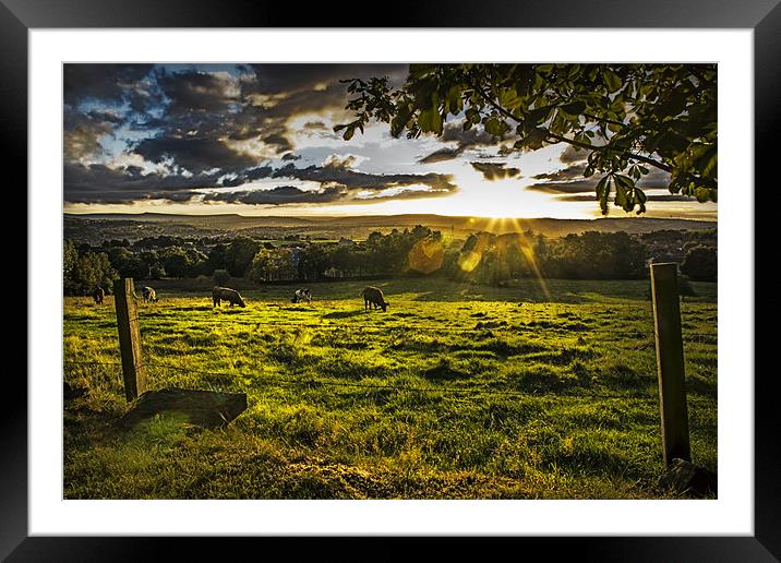 Sunset and Pasture Framed Mounted Print by richard downes
