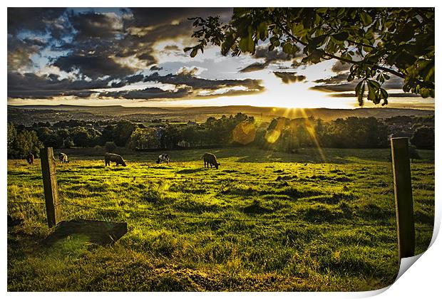 Sunset and Pasture Print by richard downes