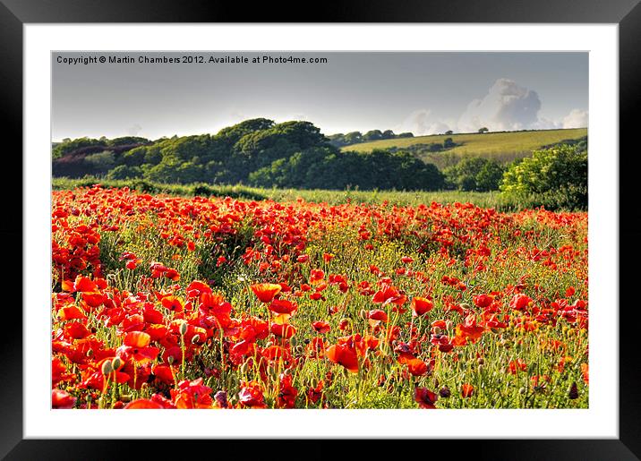 Poppy Field Framed Mounted Print by Martin Chambers