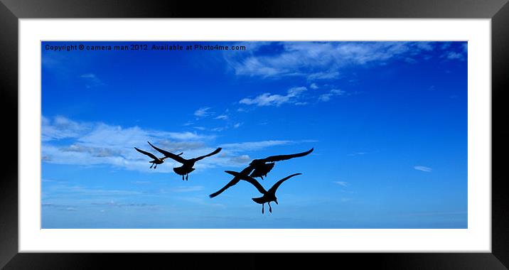The Birds. Framed Mounted Print by camera man