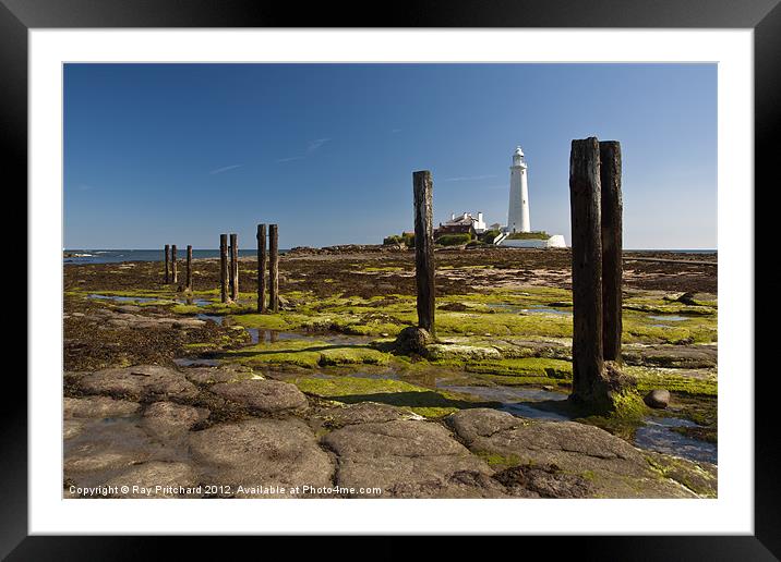 Old Posts at St Marys Framed Mounted Print by Ray Pritchard