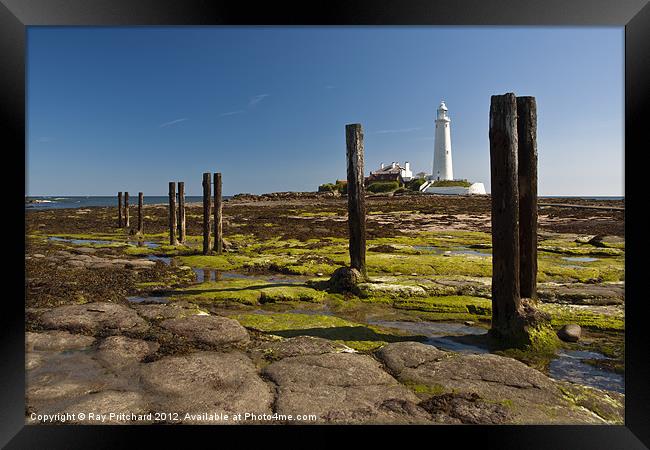 Old Posts at St Marys Framed Print by Ray Pritchard