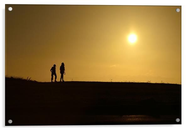 Sunset silhouette Acrylic by Steven Murphy