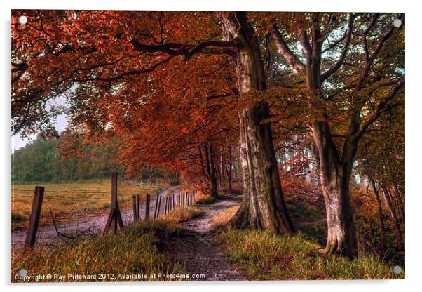 Ousbrough Woods-Autumnized Acrylic by Ray Pritchard