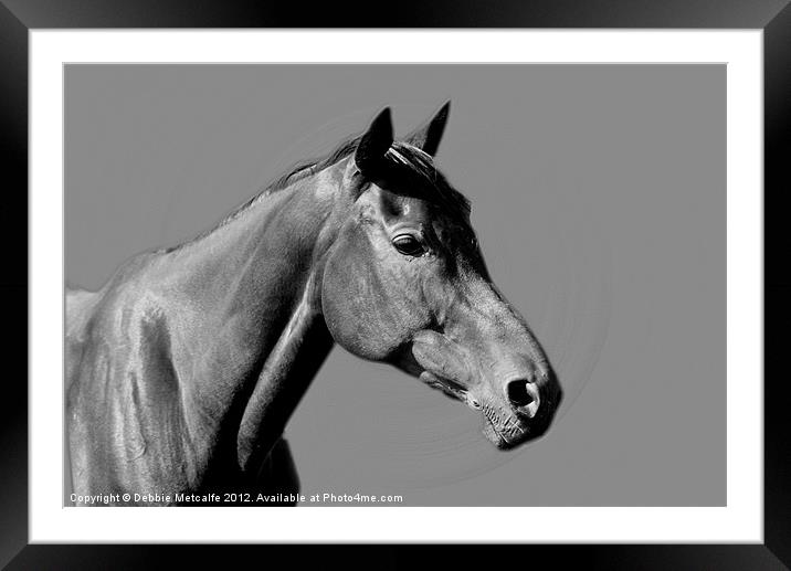 Horse Framed Mounted Print by Debbie Metcalfe