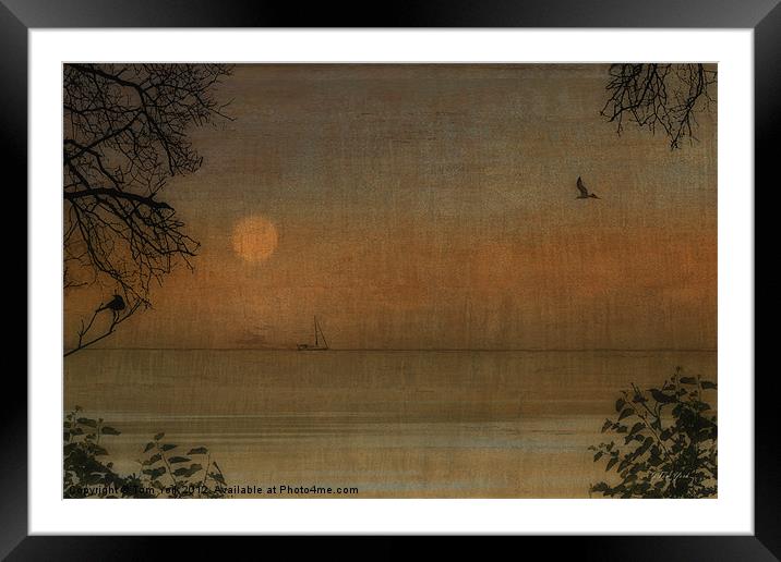 ANCHORED AT SUNSET Framed Mounted Print by Tom York