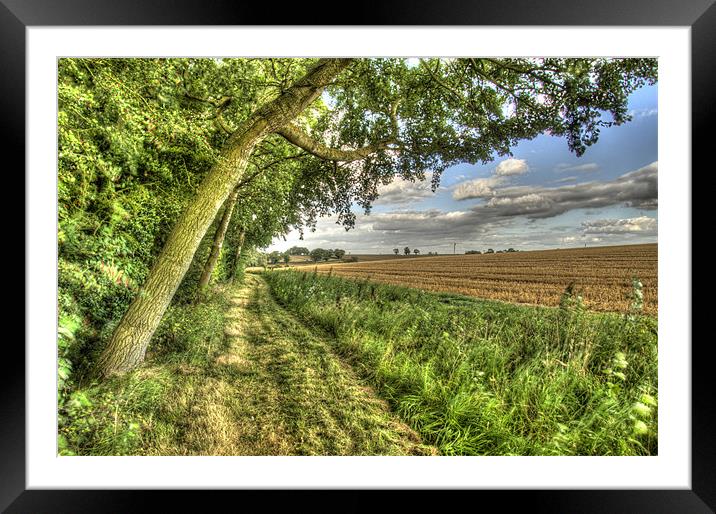 Country Footpath Framed Mounted Print by Oliver Porter