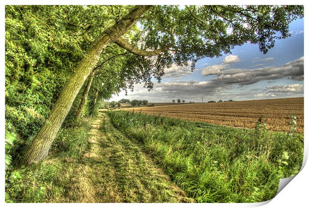 Country Footpath Print by Oliver Porter