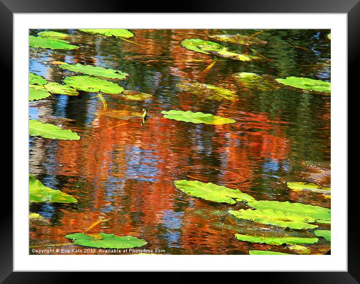Lily Pads Over Reflections Framed Mounted Print by Eva Kato