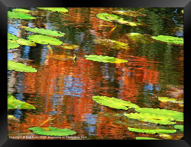 Lily Pads Over Reflections Framed Print by Eva Kato