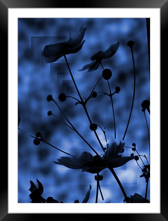 blue shadow Framed Mounted Print by Sandra Beikirch