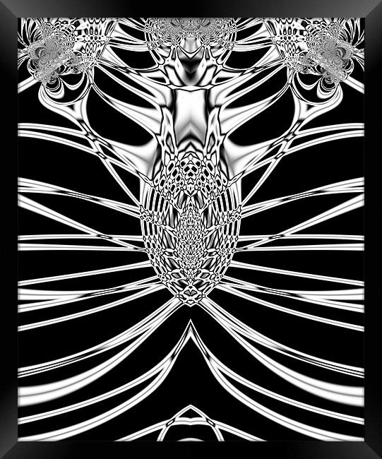 Skeletal Framed Print by Sharon Lisa Clarke