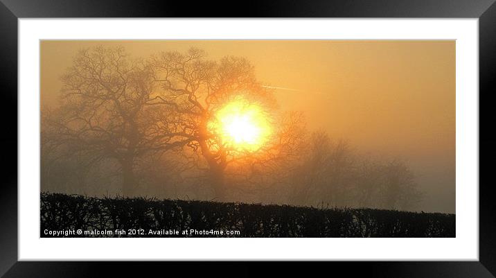Misty Delight Framed Mounted Print by malcolm fish