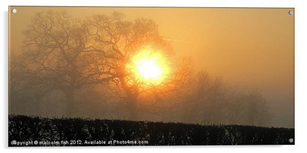 Misty Delight Acrylic by malcolm fish