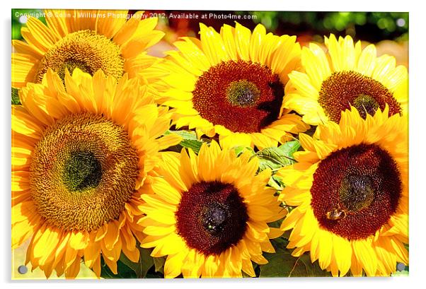 A Vase Of Sunflowers Acrylic by Colin Williams Photography
