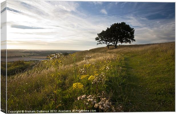 Bison Hill, Whipsnade Canvas Print by Graham Custance