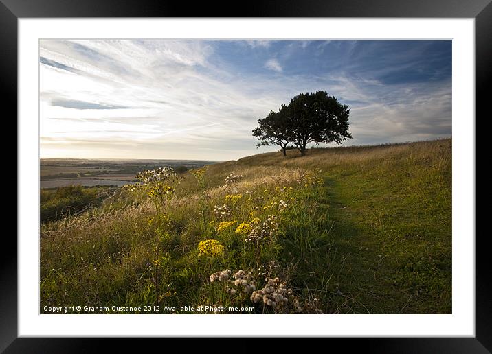 Bison Hill, Whipsnade Framed Mounted Print by Graham Custance