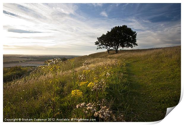 Bison Hill, Whipsnade Print by Graham Custance