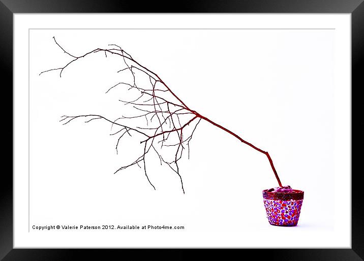 Barely Branches In Colour Framed Mounted Print by Valerie Paterson