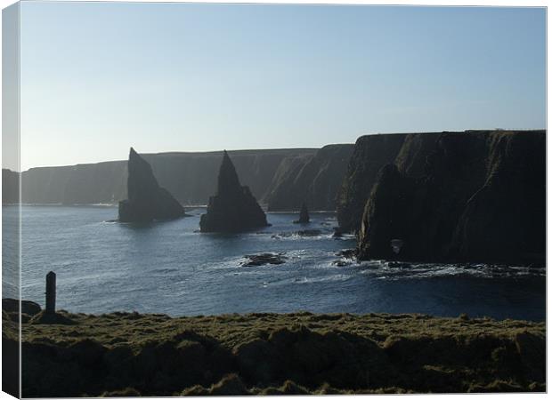 Duncansby Head Canvas Print by Liam Sims