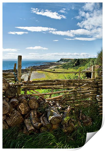 Rockfield from Ballone Castle Print by Jacqi Elmslie