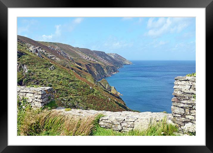 Lundy Island Bristol Channel Framed Mounted Print by Diana Mower