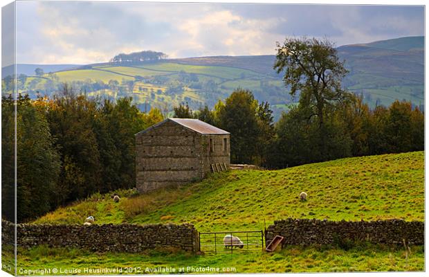 Stone barn in Wensleydale Canvas Print by Louise Heusinkveld