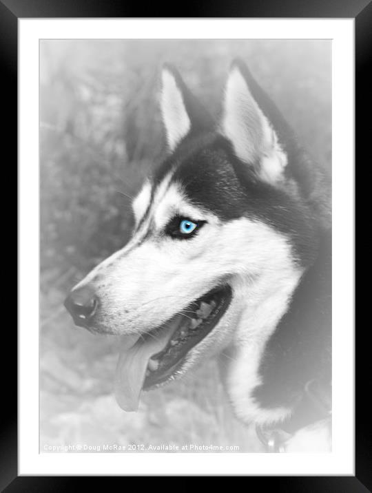 Blue eyes Framed Mounted Print by Doug McRae