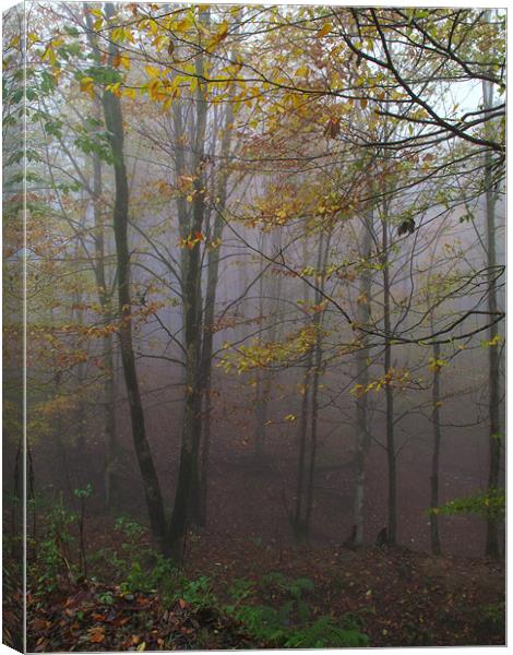 Fog in Forest Canvas Print by Shervin Moshiri