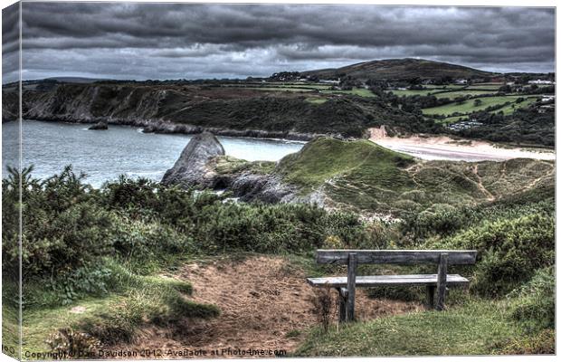 The Bench, The View Canvas Print by Dan Davidson