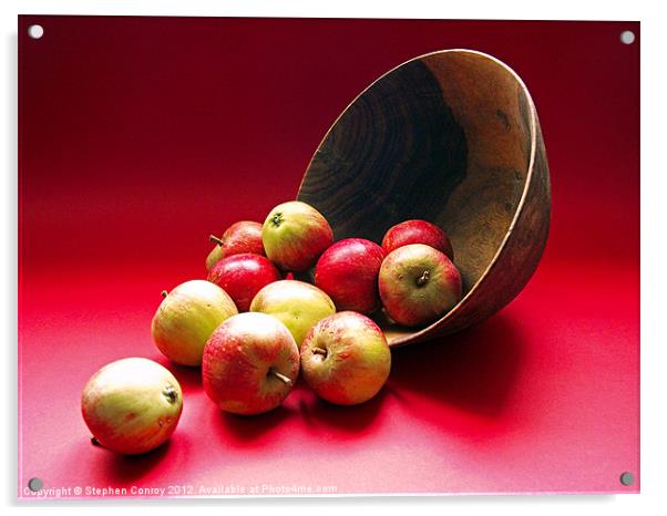 Tumbling Apples on Red Background Acrylic by Stephen Conroy