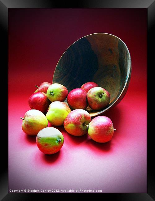 Still Life with Apples Framed Print by Stephen Conroy